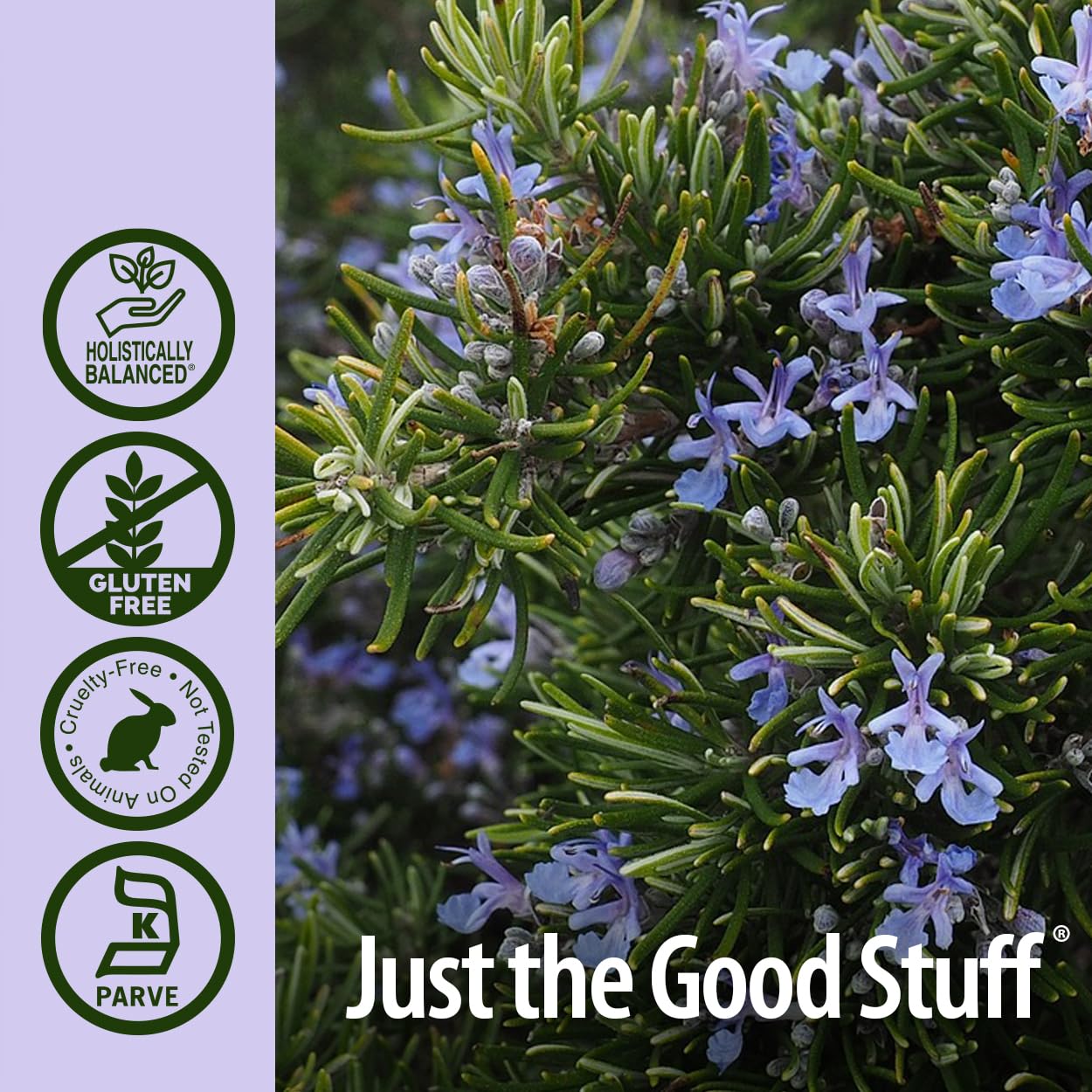 natures answer rosemary leaf 1 fl oz