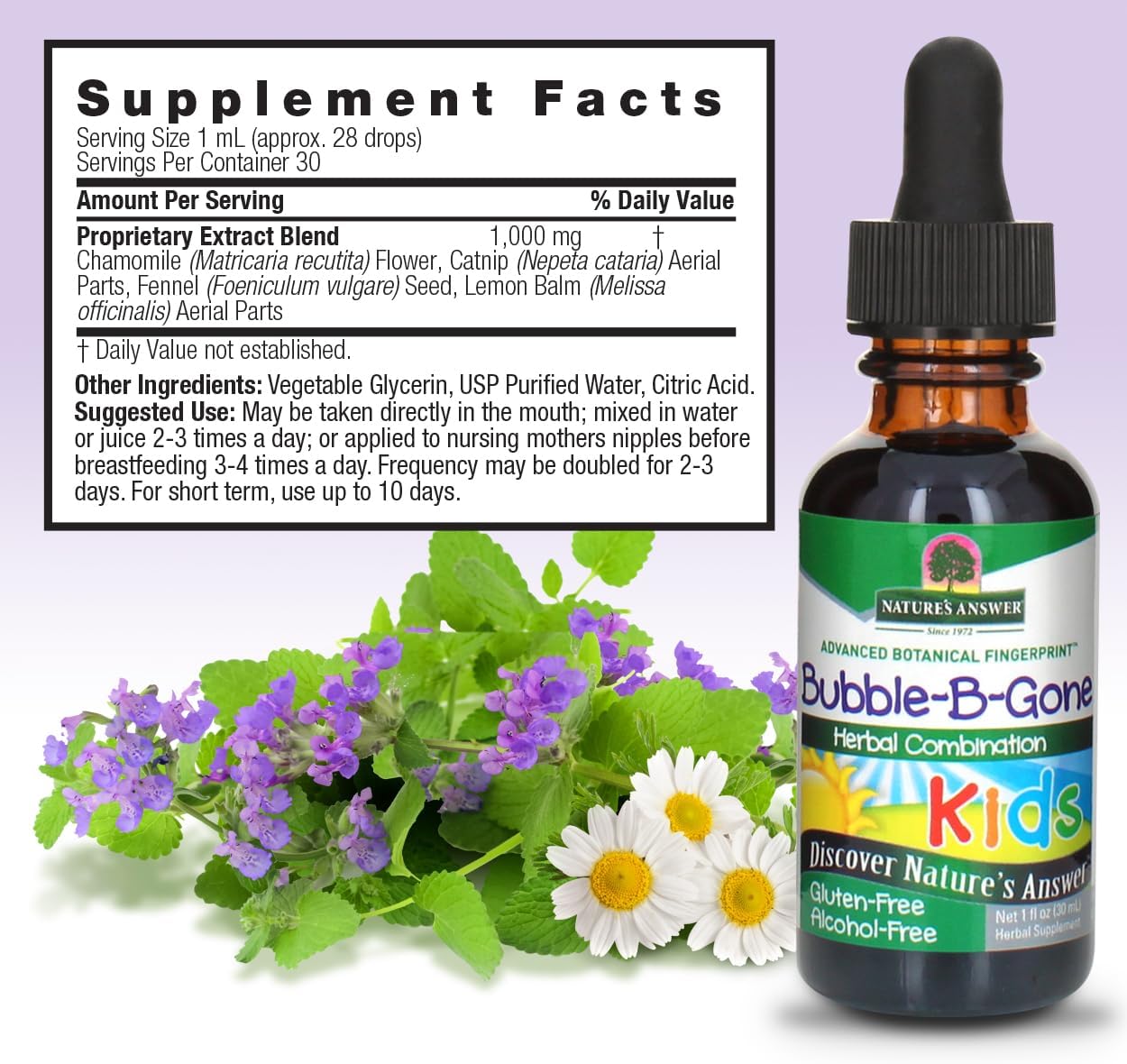 Nature's Answer - Bubble-b-gone - 1 Fl Oz