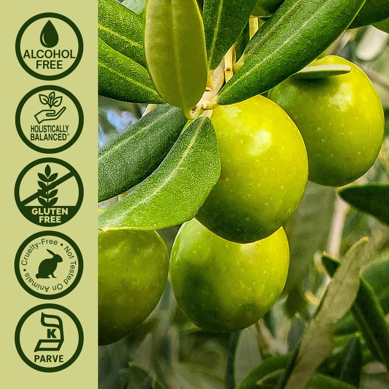 Nature's Answer - Oleopein Olive Leaf Alcohol Free

