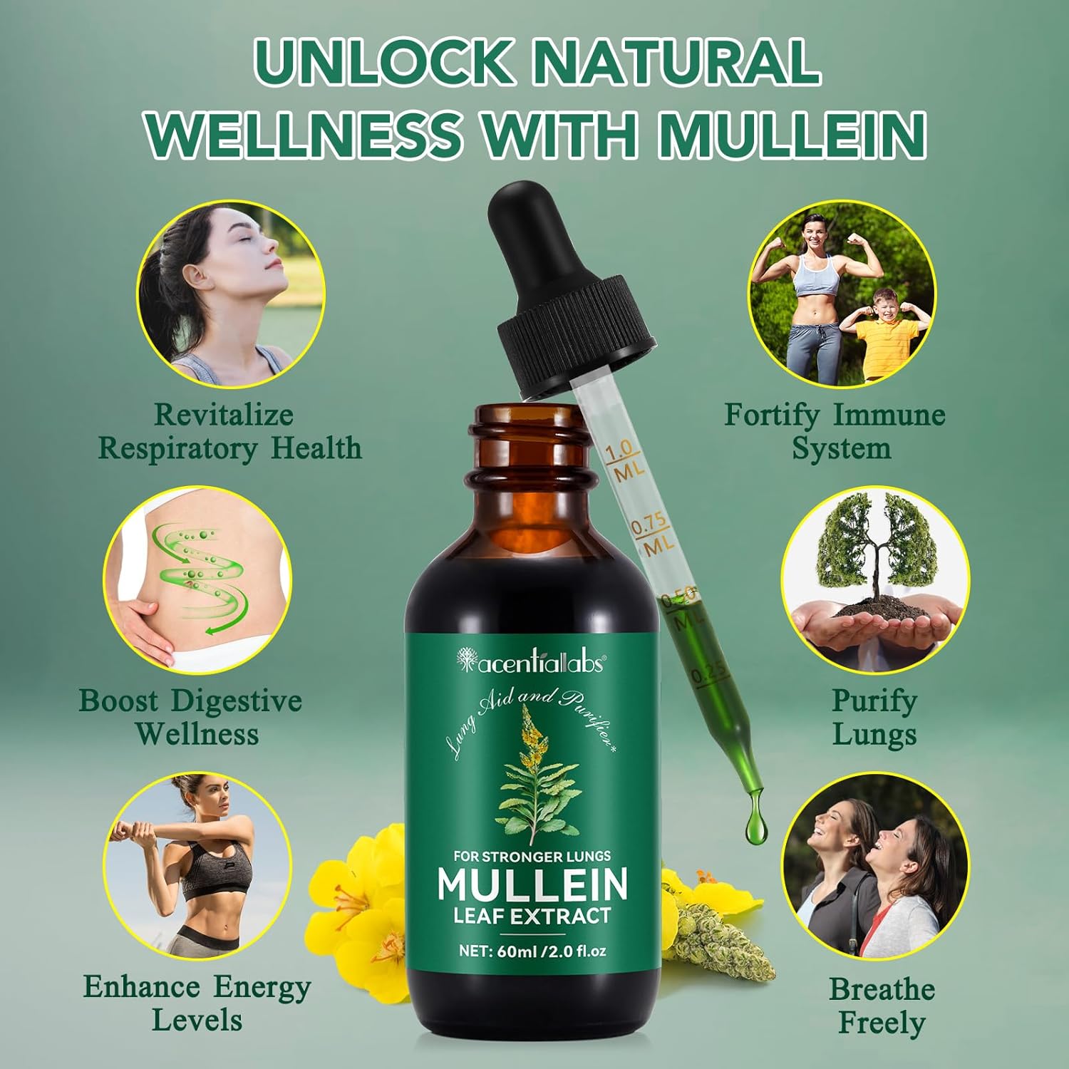 Acentiallabs Mullein Leaf Extract & Chlorophyll Extract Drops for Lungs-60Ml - Edible Healthcare Supplement Dietary Fitness