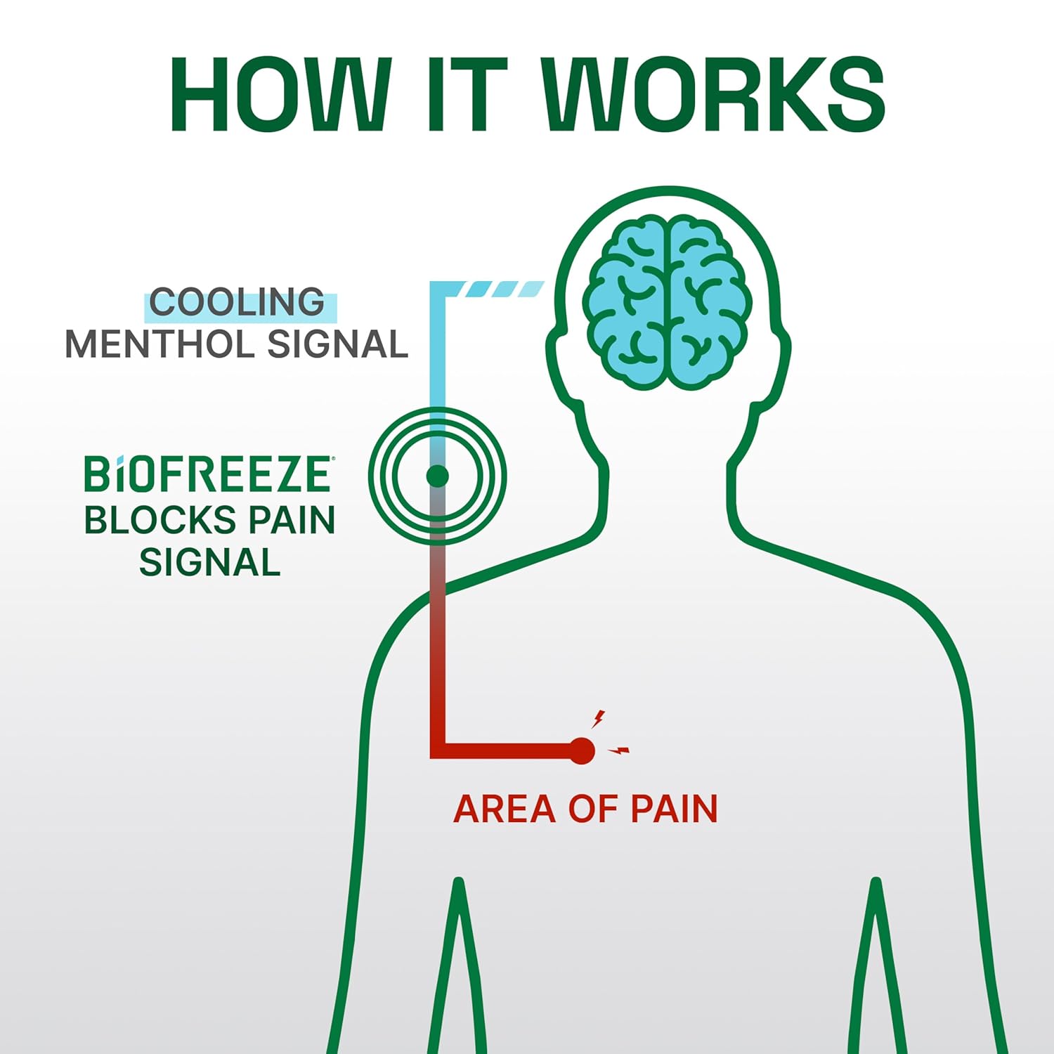Topical Pain Relief Biofreeze Professional 5% Strength Menthol Topical Gel 32 oz.,Packaging Type- Each
