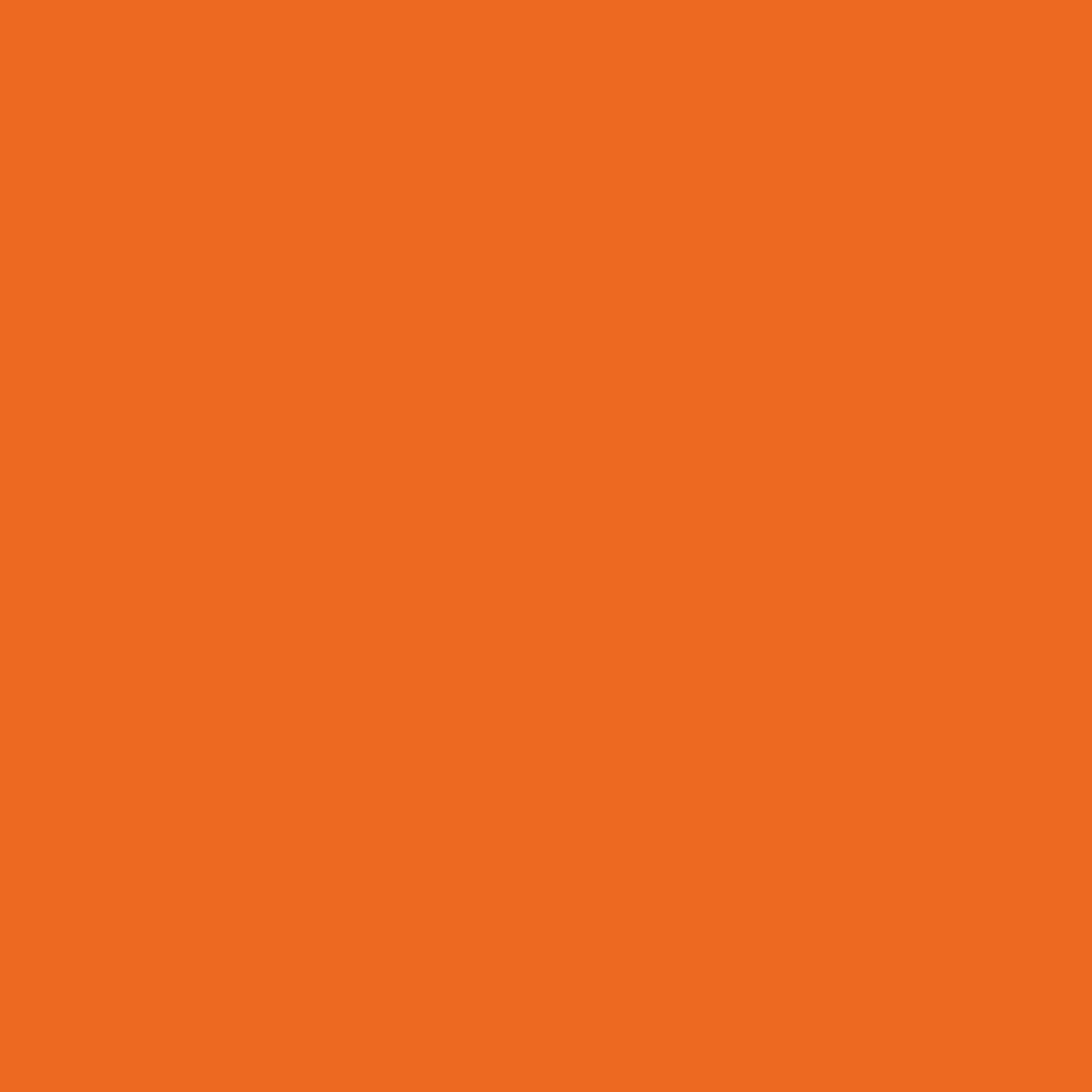 Gait Belt SkiL-Care PathoShield 60 Inch Length Orange Plastic Coated Webbing,Packaging Type- Each