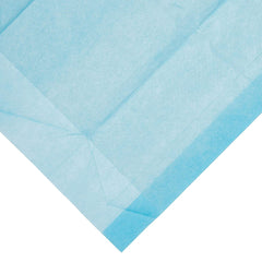 Disposable Underpad Dynarex 17 X 24 Inch Fluff Light Absorbency | 3BG/Case