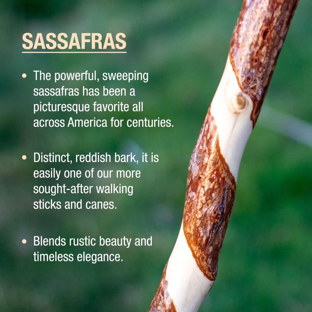Walking Stick Brazos Twisted Trekker Wood 58 Inch Height Sassafras