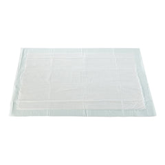 Disposable Underpad McKesson 23 X 36 Inch Fluff / Polymer Moderate Absorbency | 120/Case