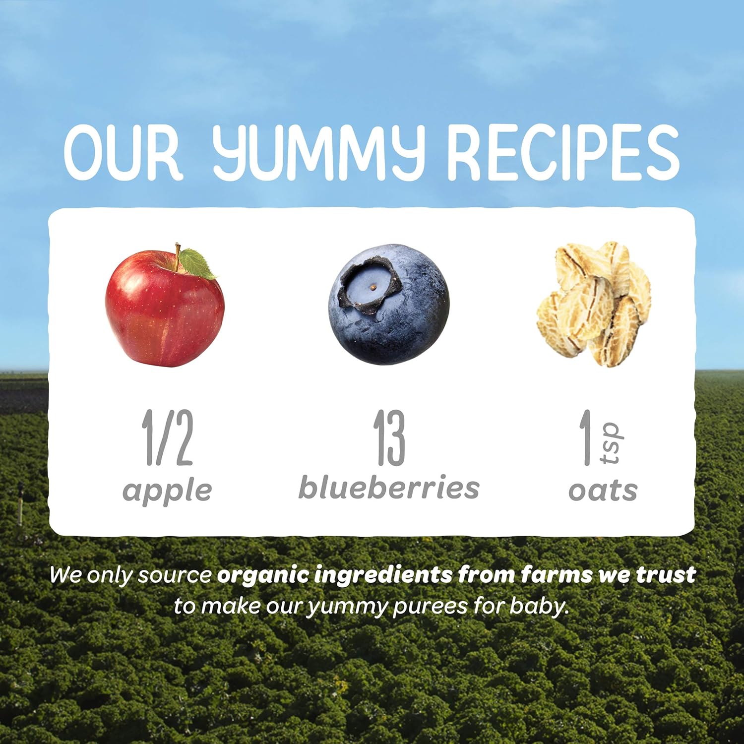 happy baby happy baby clearly crafted apple blueberries and oats case of 16 4 oz
