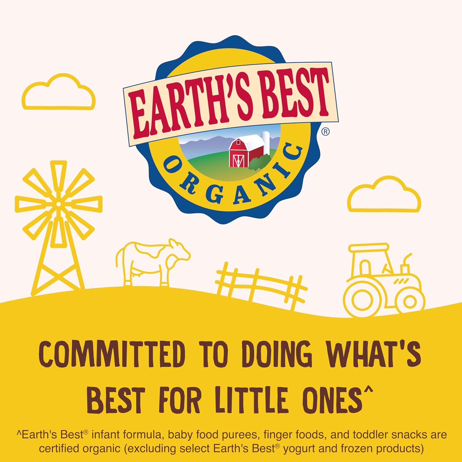 Earth's Best - Inftfrm Sens Iron - Case Of 4-21 Oz