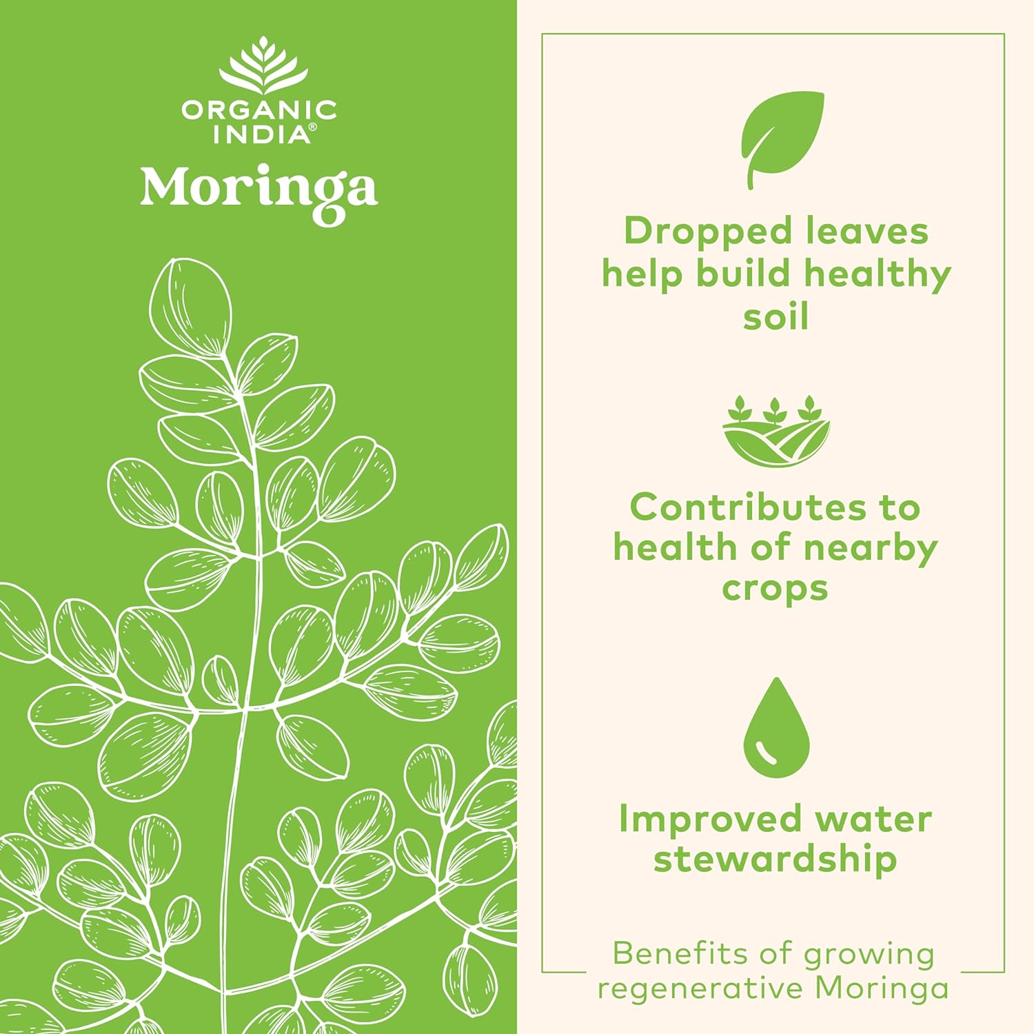 Organic India Organic Moringa Leaf Powder - 8 Oz