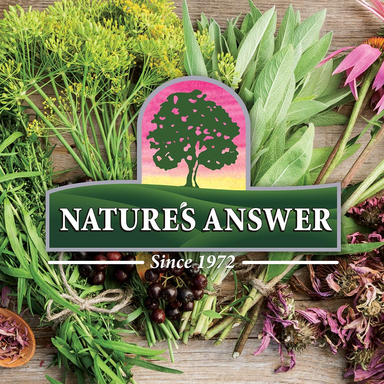 Nature's Answer - Raspberry Leaf Alcohol Free - 1 Fl Oz