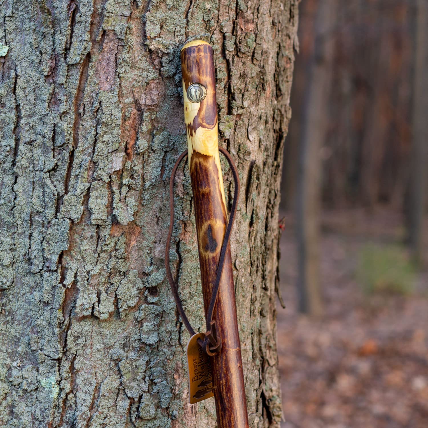 Walking Stick Brazos Free Form Wood 58 Inch Height Ironwood