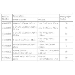 Foam Dressing Allevyn Life 6-3/4 X 6-7/8 Inch With Border Film Backing Silicone Gel Adhesive Sacral Sterile