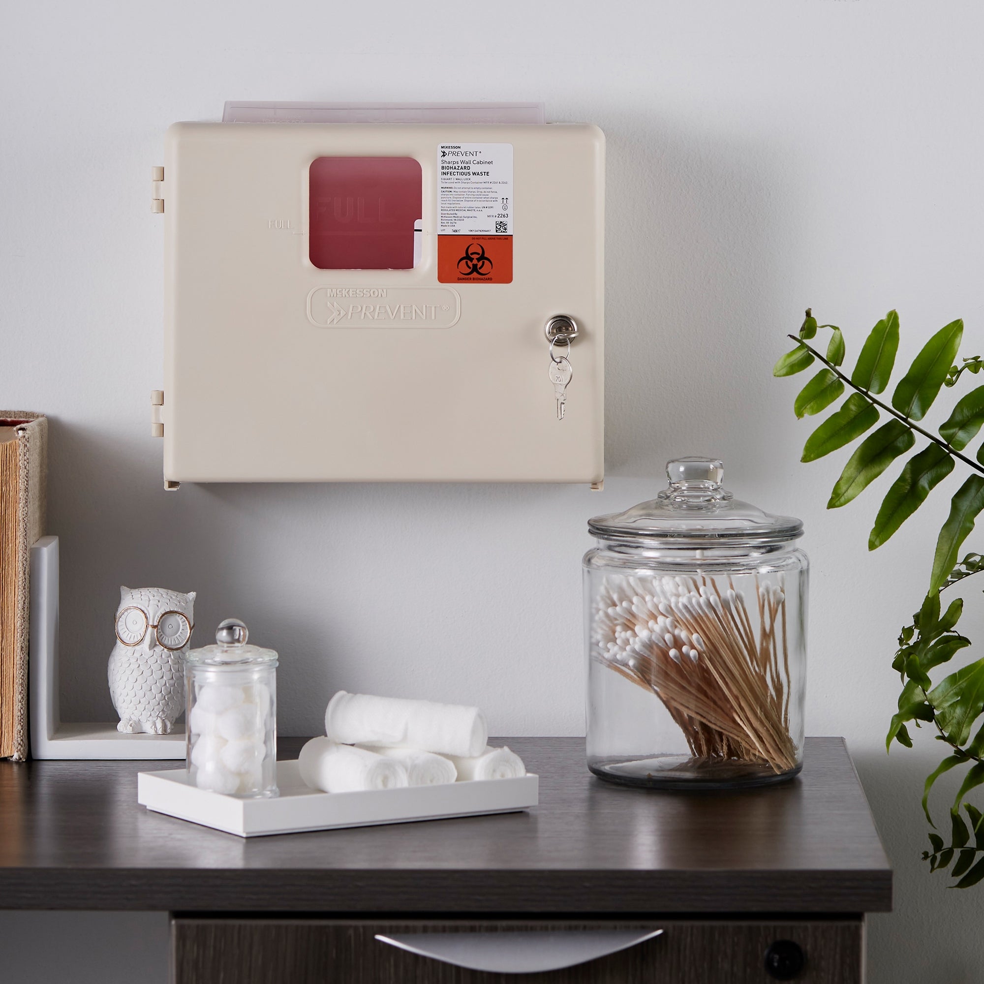 Sharps Container Cabinet / Wall Enclosure McKesson Prevent High Impact Polystyrene Wall Mount Locking, Packaging Type- Each