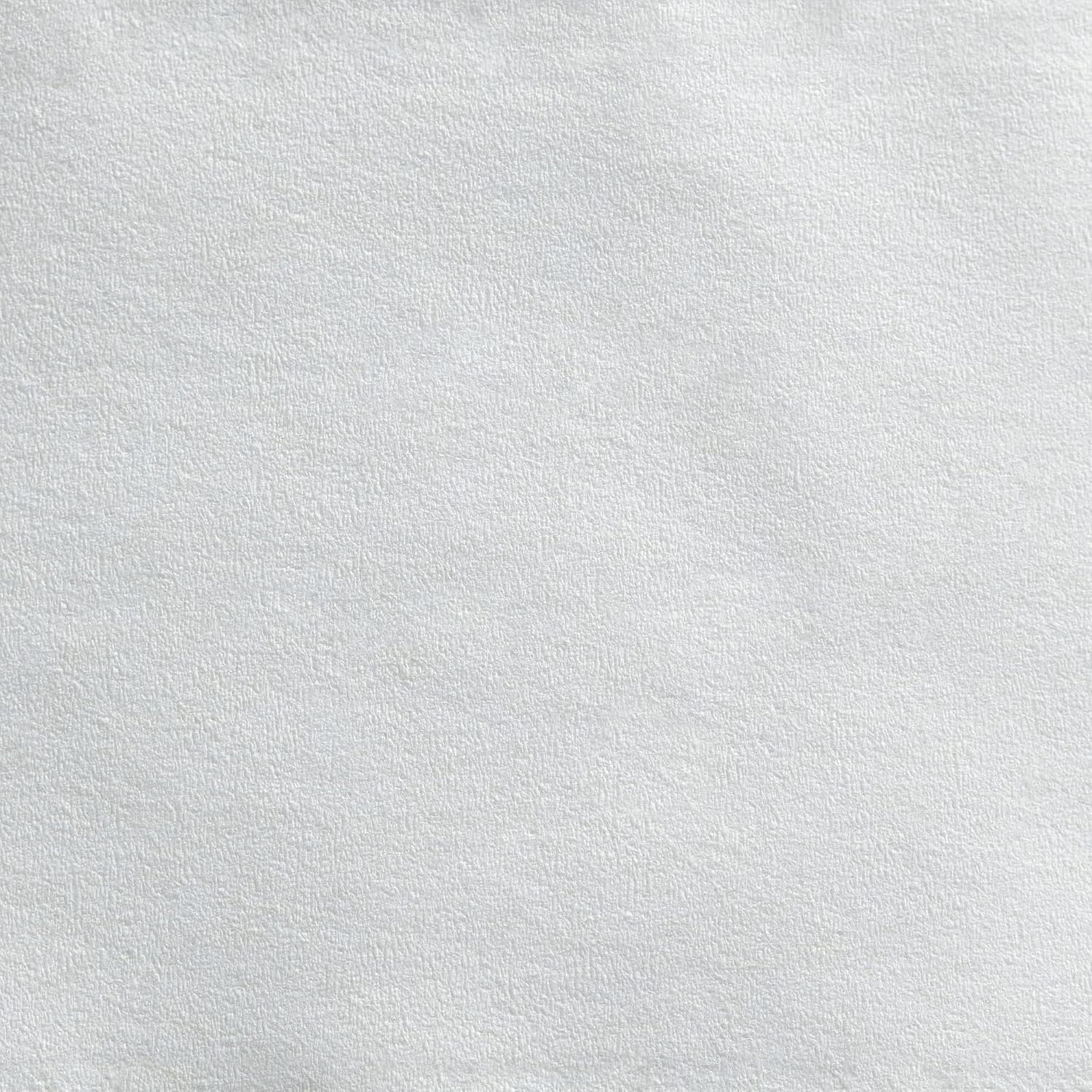 Toilet Tissue Pacific Blue Basic White 2-Ply Jumbo Size Cored Roll Continuous Sheet 3-1/5 Inch X 1000 Foot, Packaging Type- Case