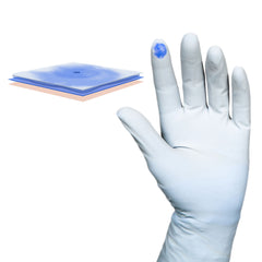 Surgical Glove Biogel PI Micro Size 6.5 Sterile Polyisoprene Standard Cuff Length Micro-Textured Straw Chemo Tested | 50Pair/Box