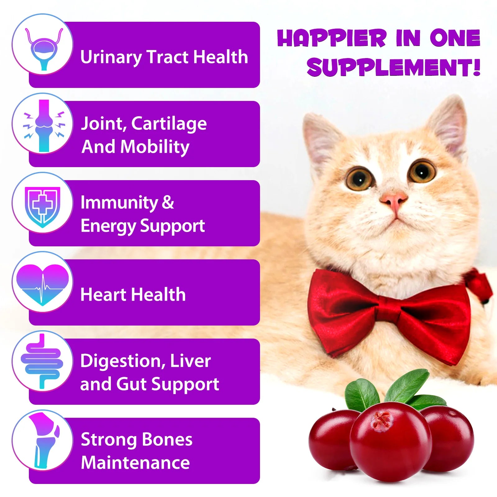 15-in-1 Cat Vitamins and Supplements Liquid Drops contains only herbal ingredients Active Coat Skin Boosting immunity Joints Hip