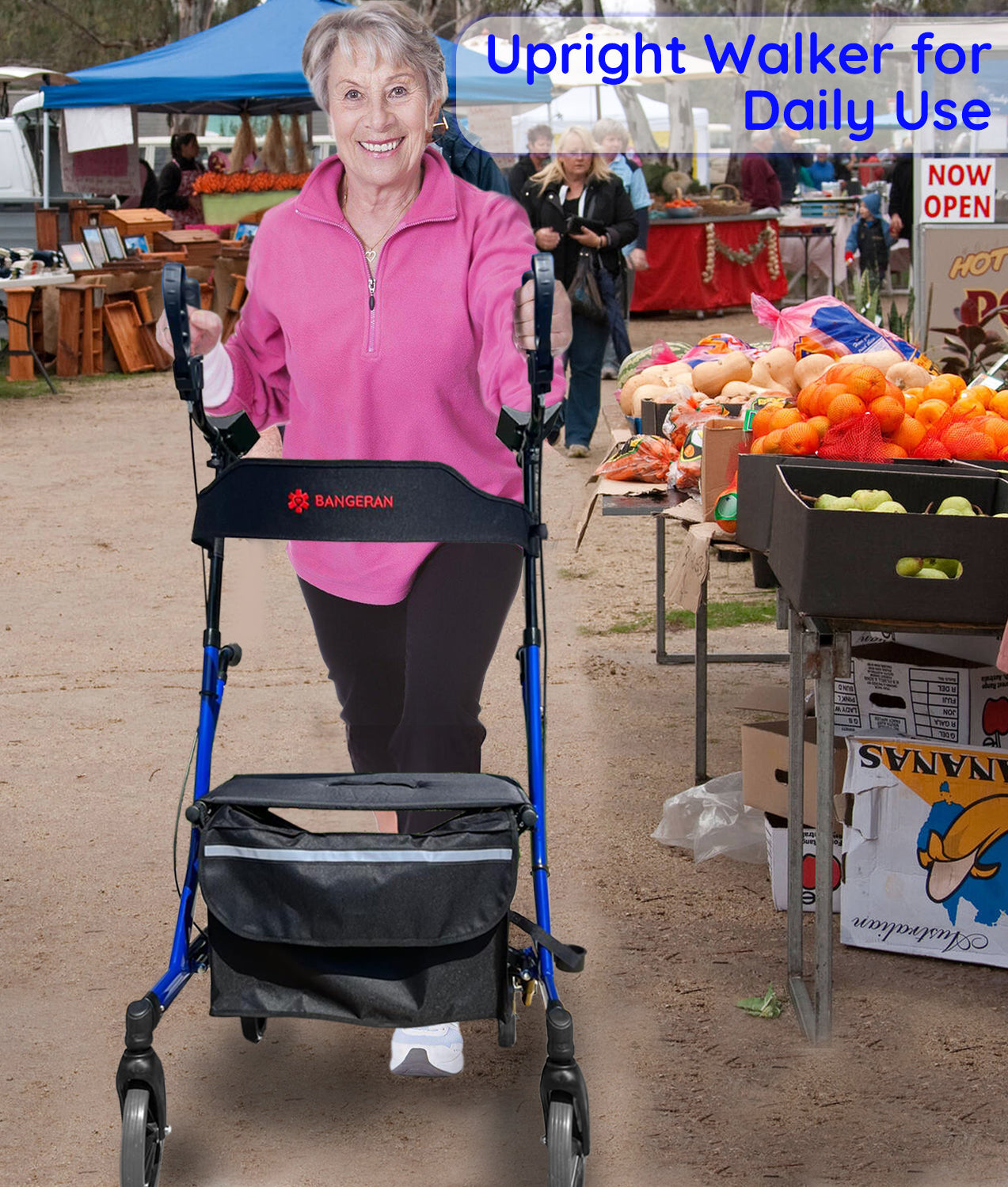 BreezeStride 4 Wheel Rolling Mobility Rollator