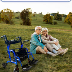 daywalker 2 in 1 rollator walker