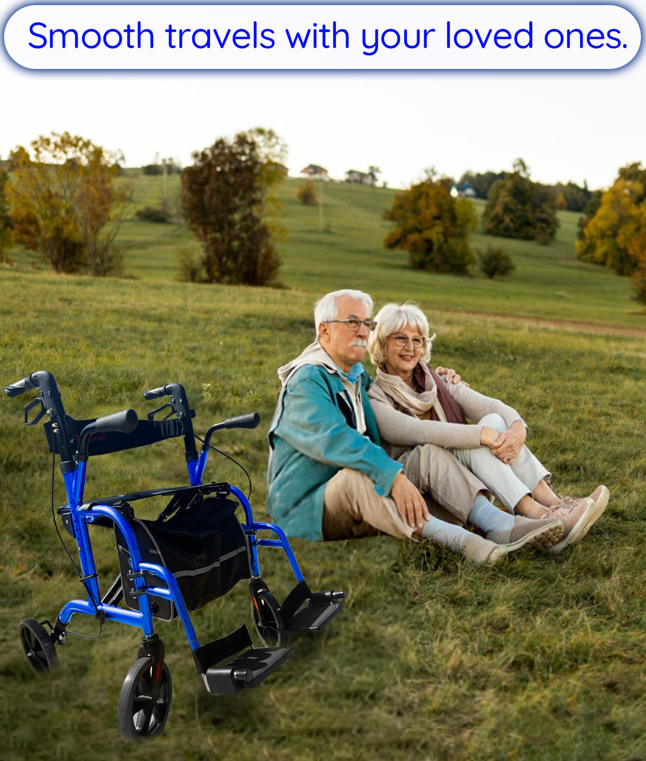 DayWalker 2 in 1 Rollator Walker