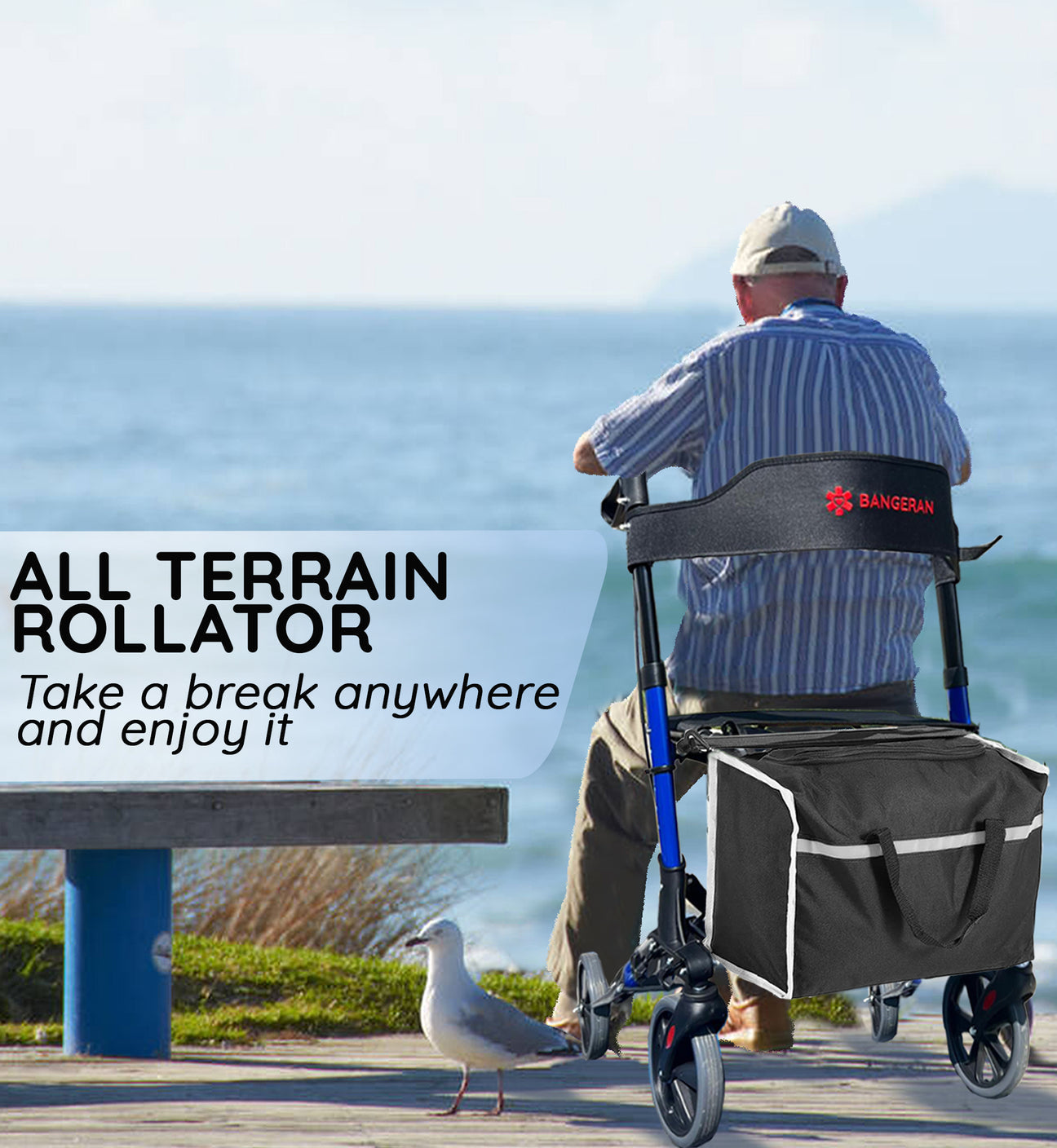 EasyCarryMate Mobility Rollator Walker