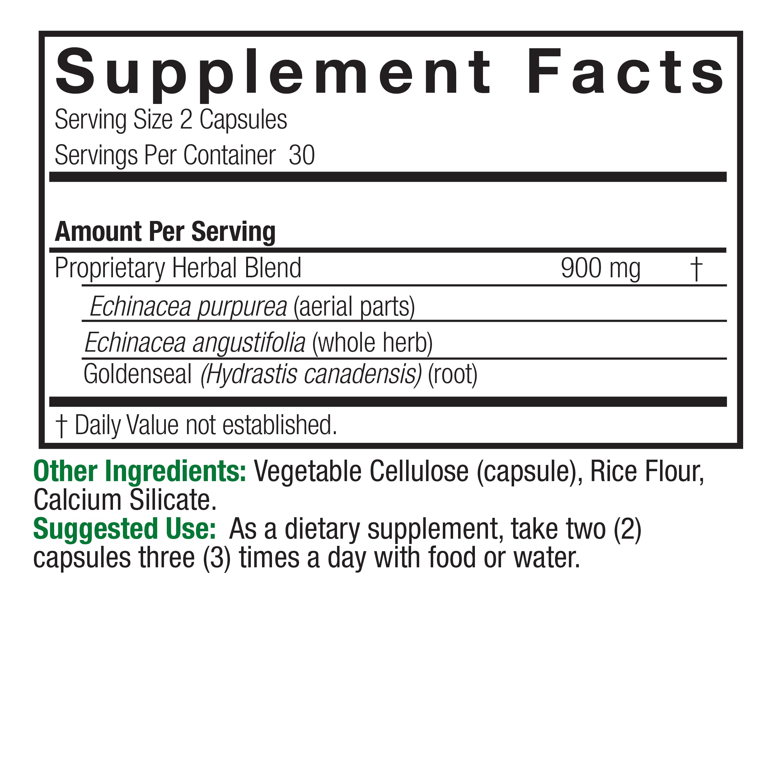Nature's Answer - Echinacea With Goldenseal - 90 Vcaps
