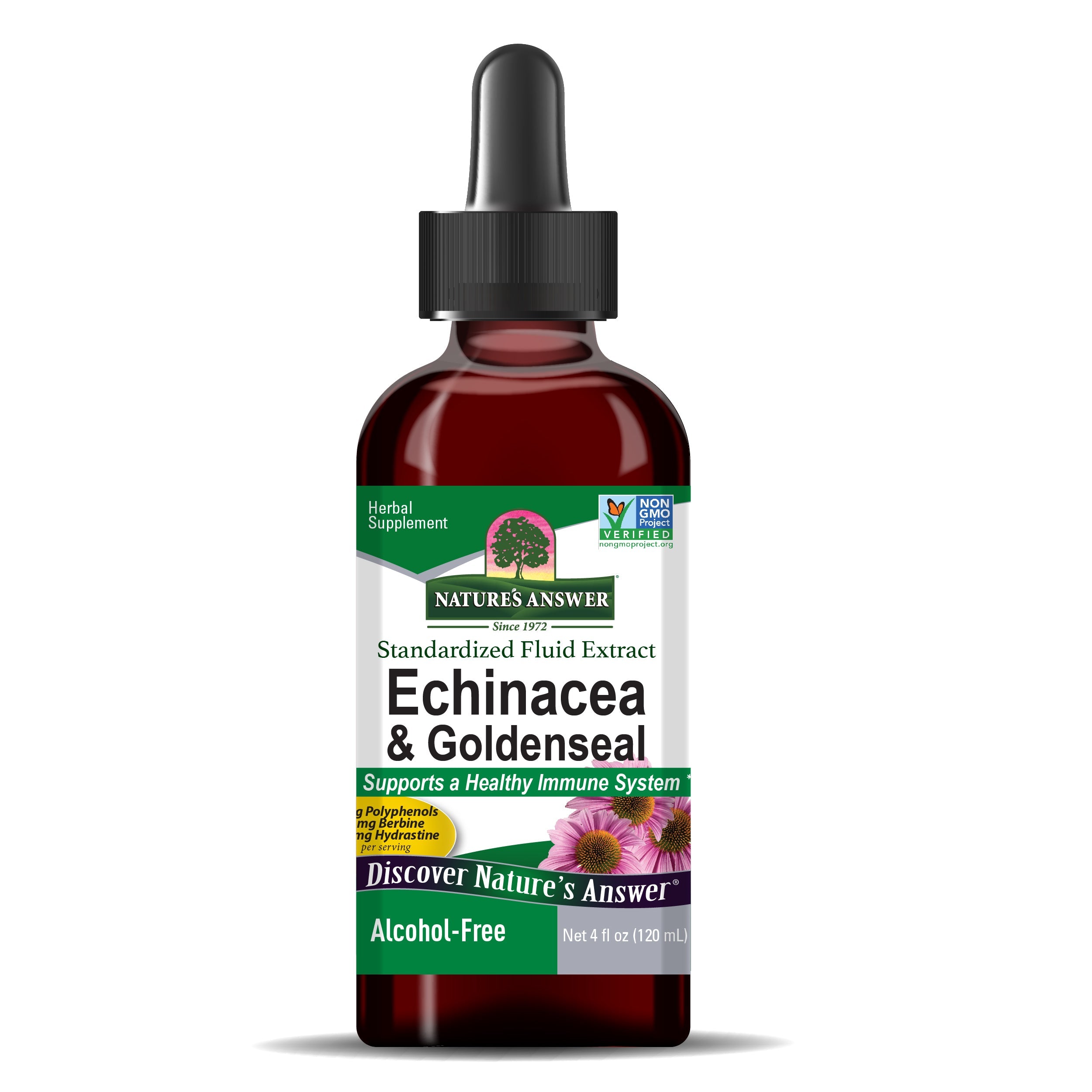 Nature's Answer - Echinacea And Goldenseal - 4 Fl Oz