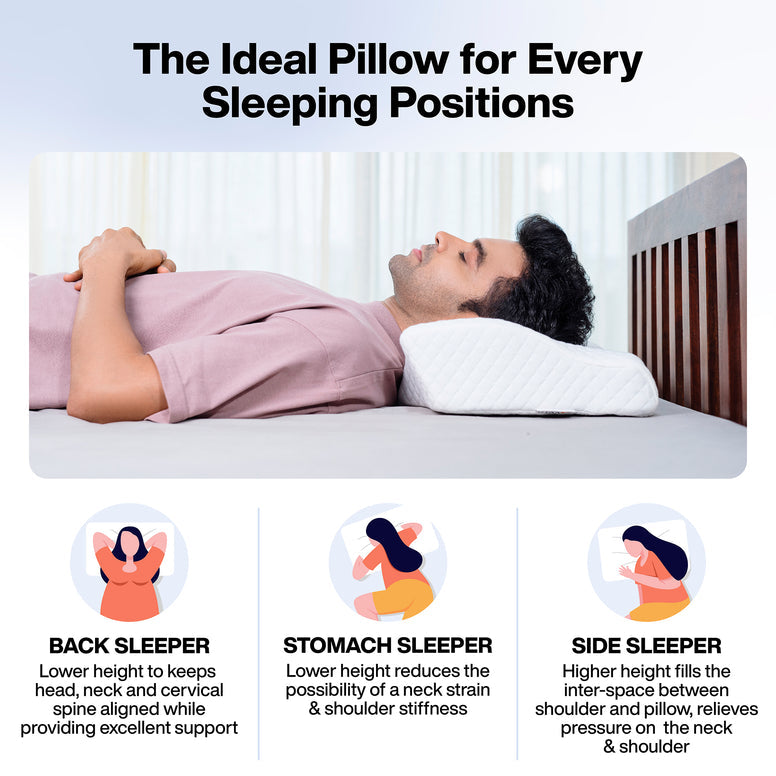 Memory Pillow 20 X 12  X 4