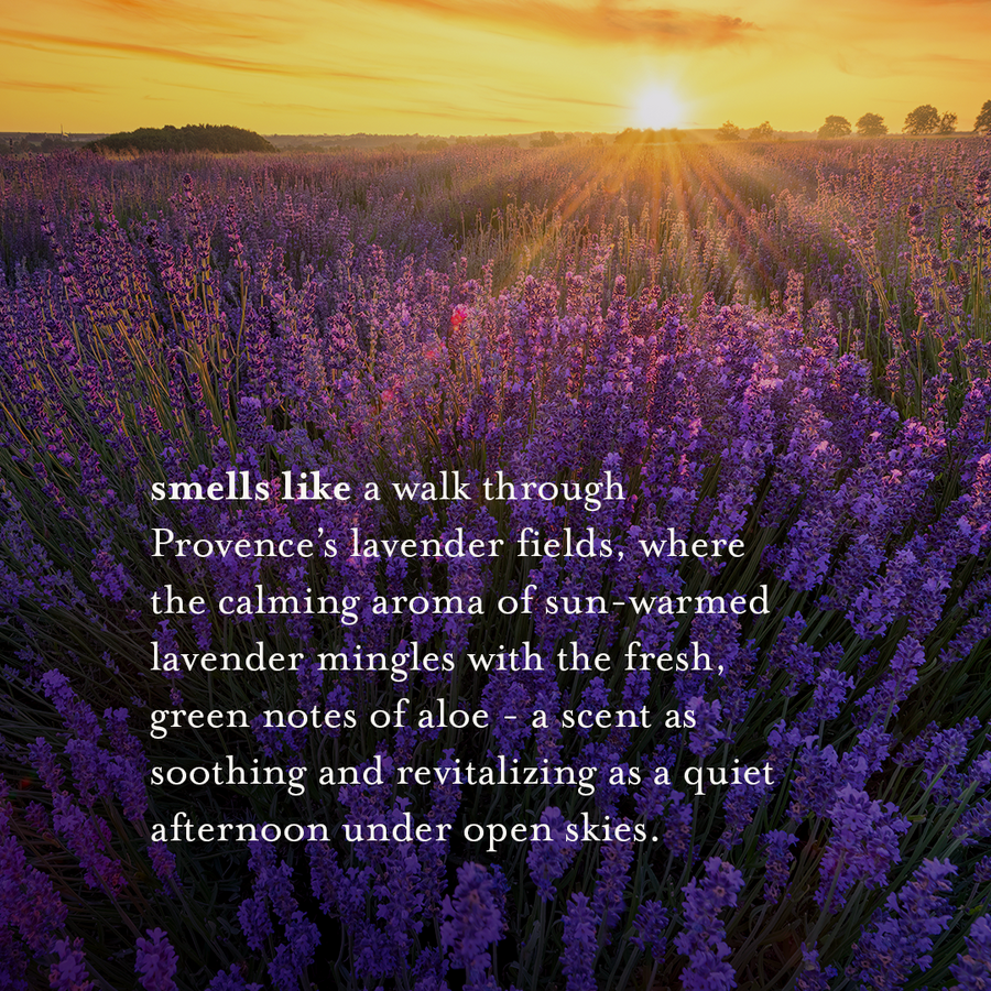 a la maison deodorant lavender 2 4 oz