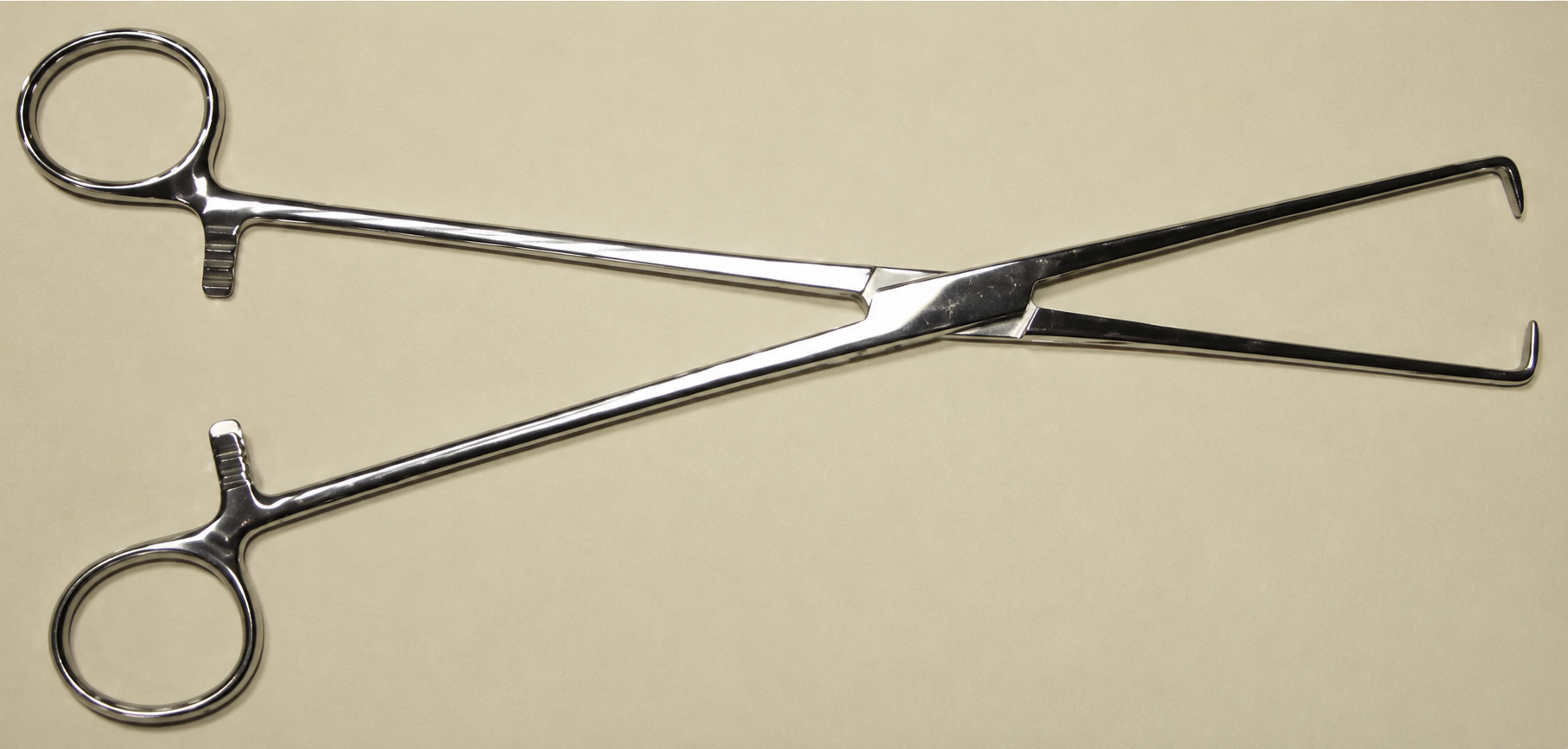 Shroeder Tenaculum Forcep