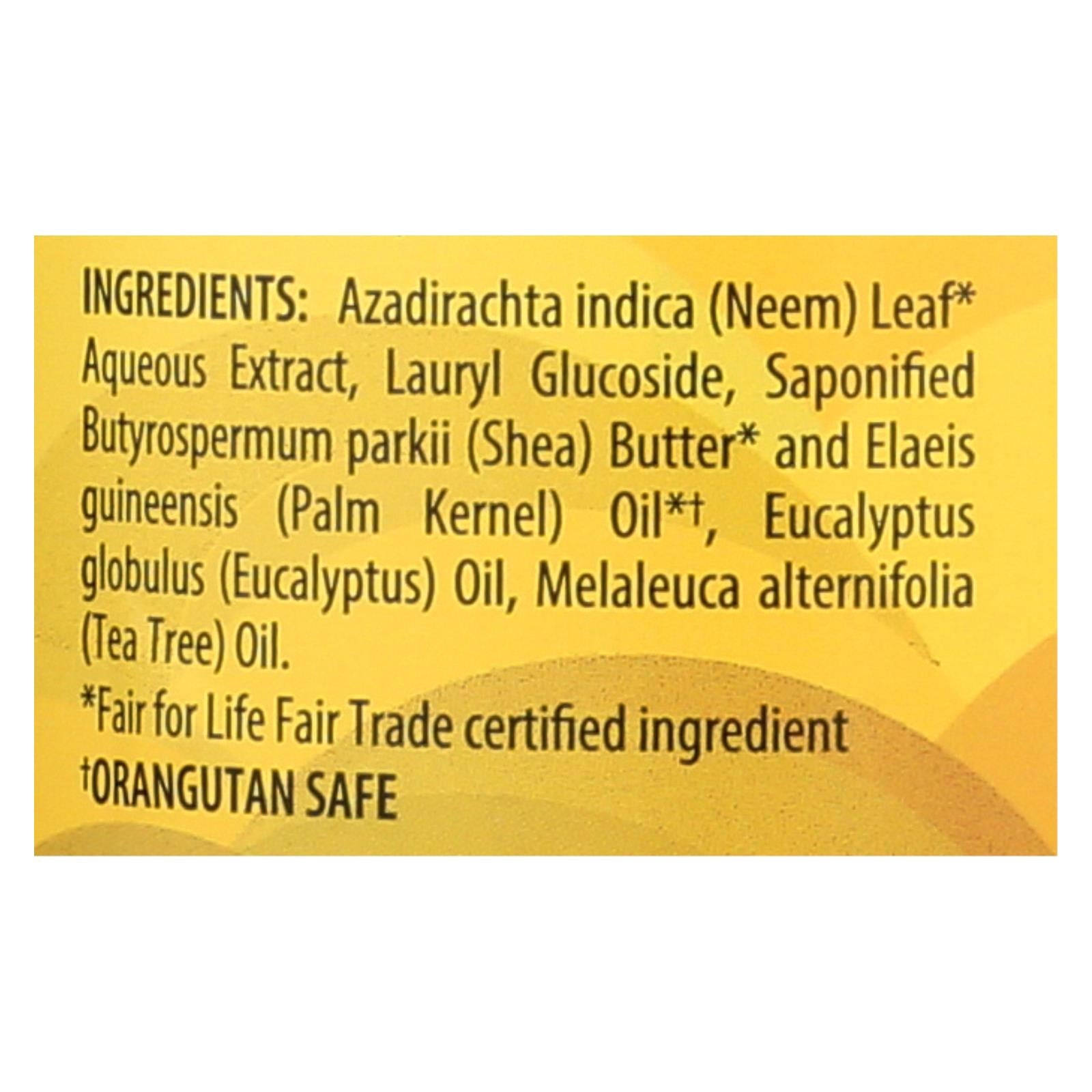 alaffia african black soap eucalyptus tea tree 32 fl oz