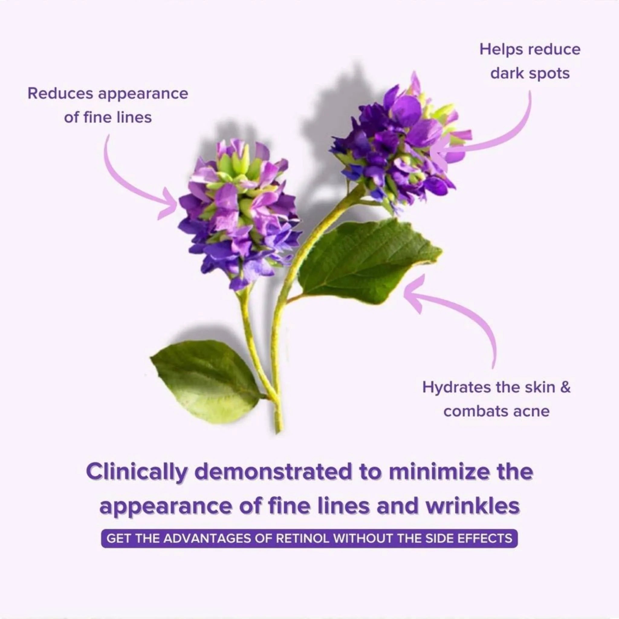 Anti Aging Bakuchiol Serum   Retinol Alternative