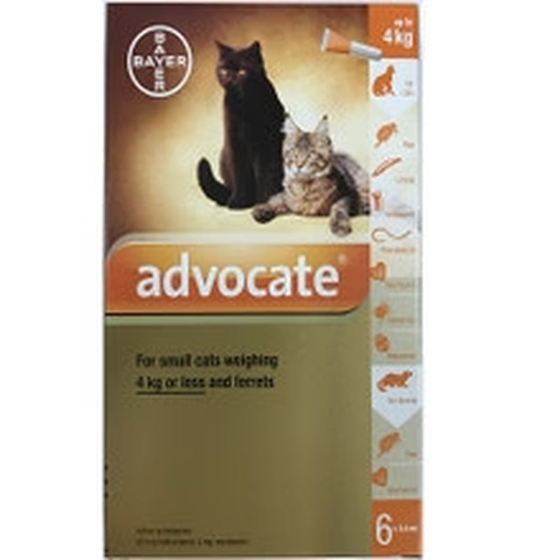 Advocate for Small Cats under 4Kg (8.8Lbs), 6 Pack