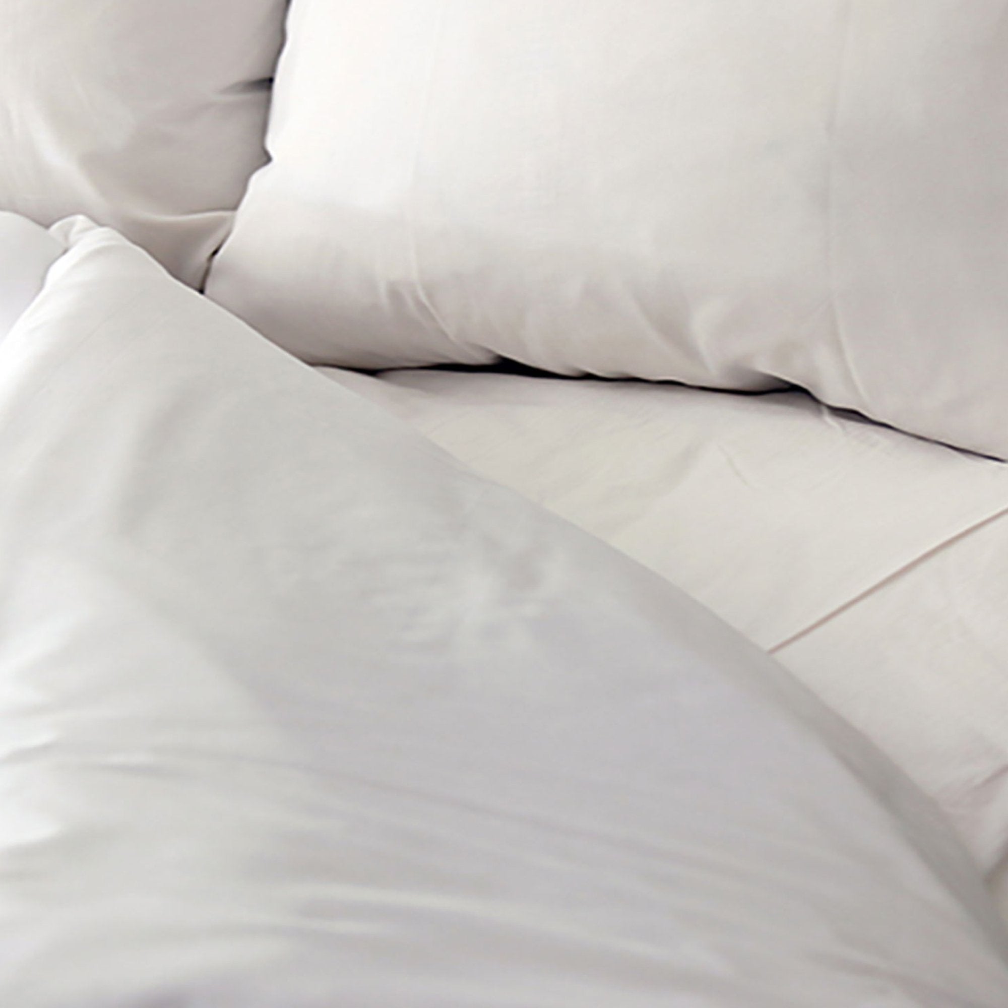 Bed Sheet Fitted 36 X 84 Inch White Reusable