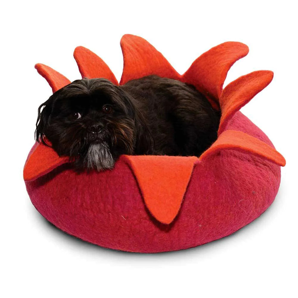 Dharma Dog Karma Cat Petal Basket