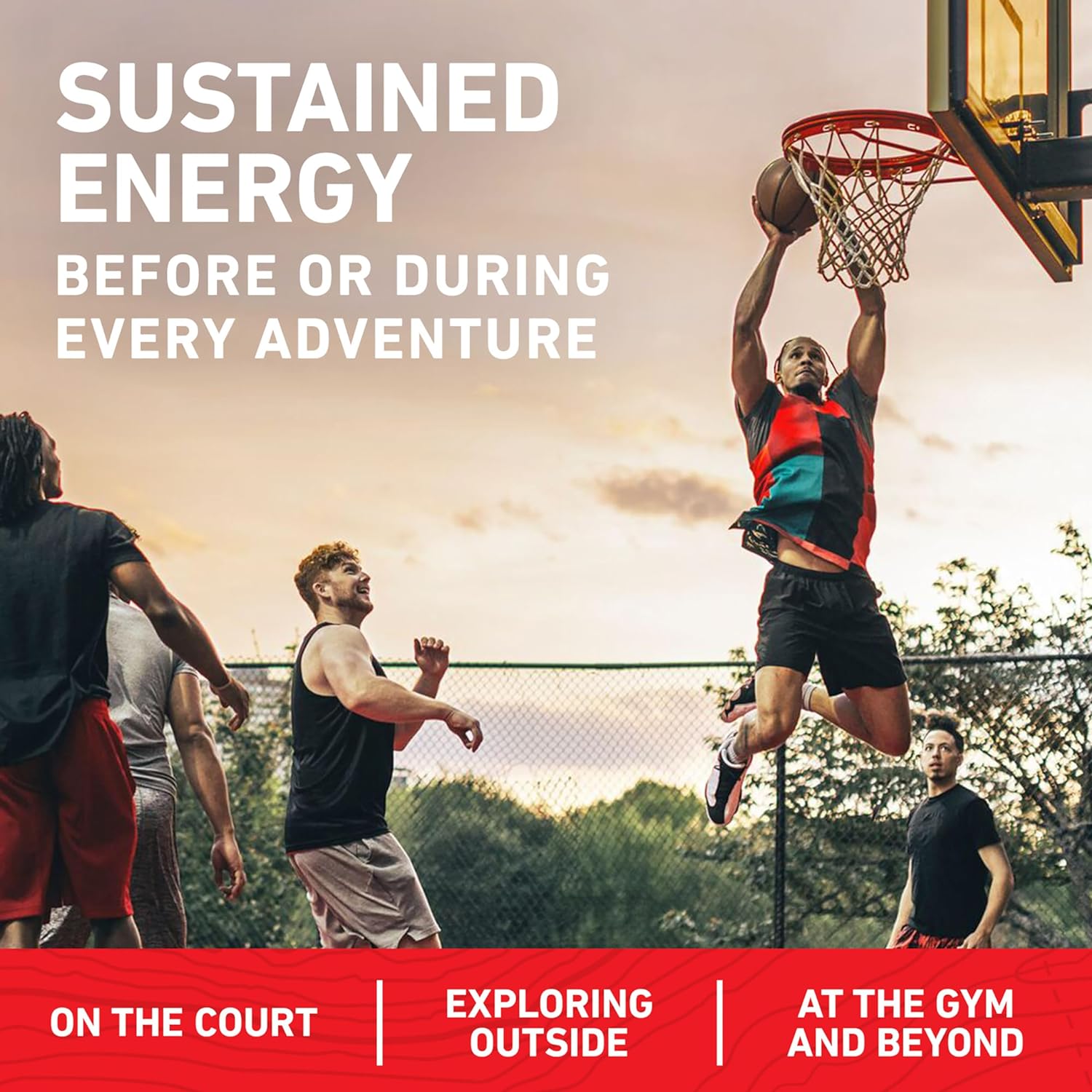 clif bar organic cool mint chocolate case of 12 2 4 oz