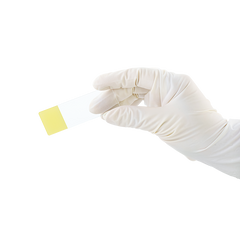 dynarex microscope slides