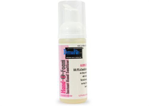 Alcohol-Free Hand Sanitizer Hand-E-Foam 8 oz. Benzethonium Chloride Foaming Pump Bottle