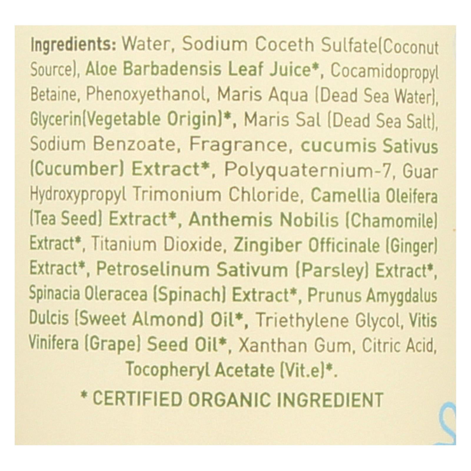 Ecolove Shampoo   Green Vegetables Family Shampoo   All Care Store
