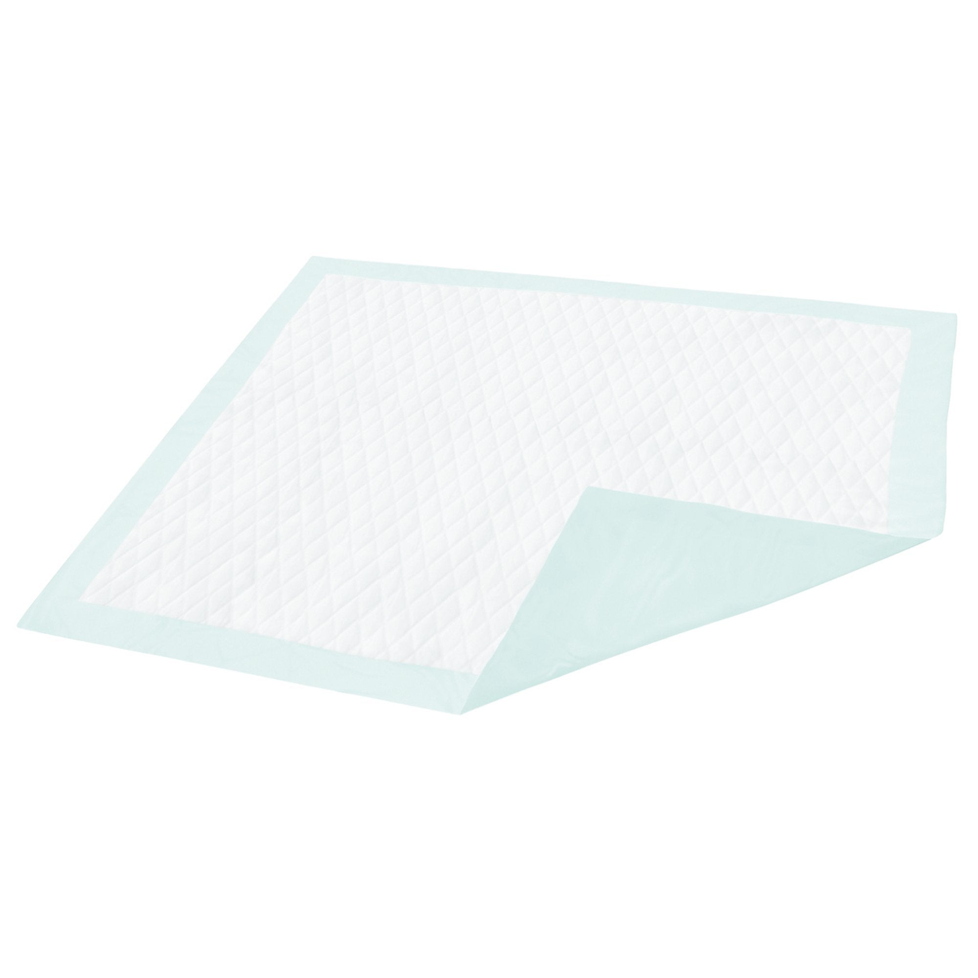 Disposable Underpad Dignity 23 X 36 Inch Fluff Light Absorbency, Packaging Type- Case