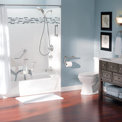 integrated grab bar w toilet paper holder brushed nickel
