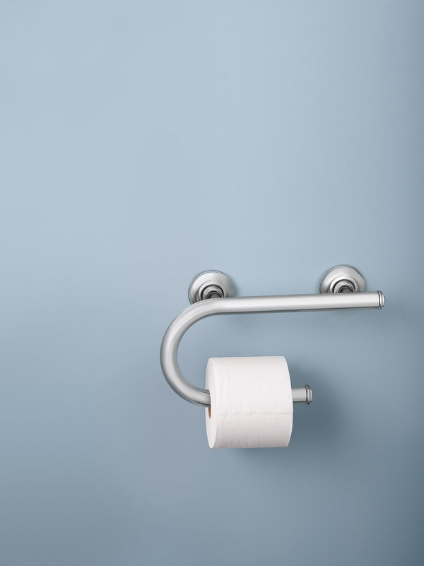 integrated grab bar w toilet paper holder chrome moen