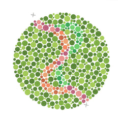 ishihara 38 plate chart book for color blindness