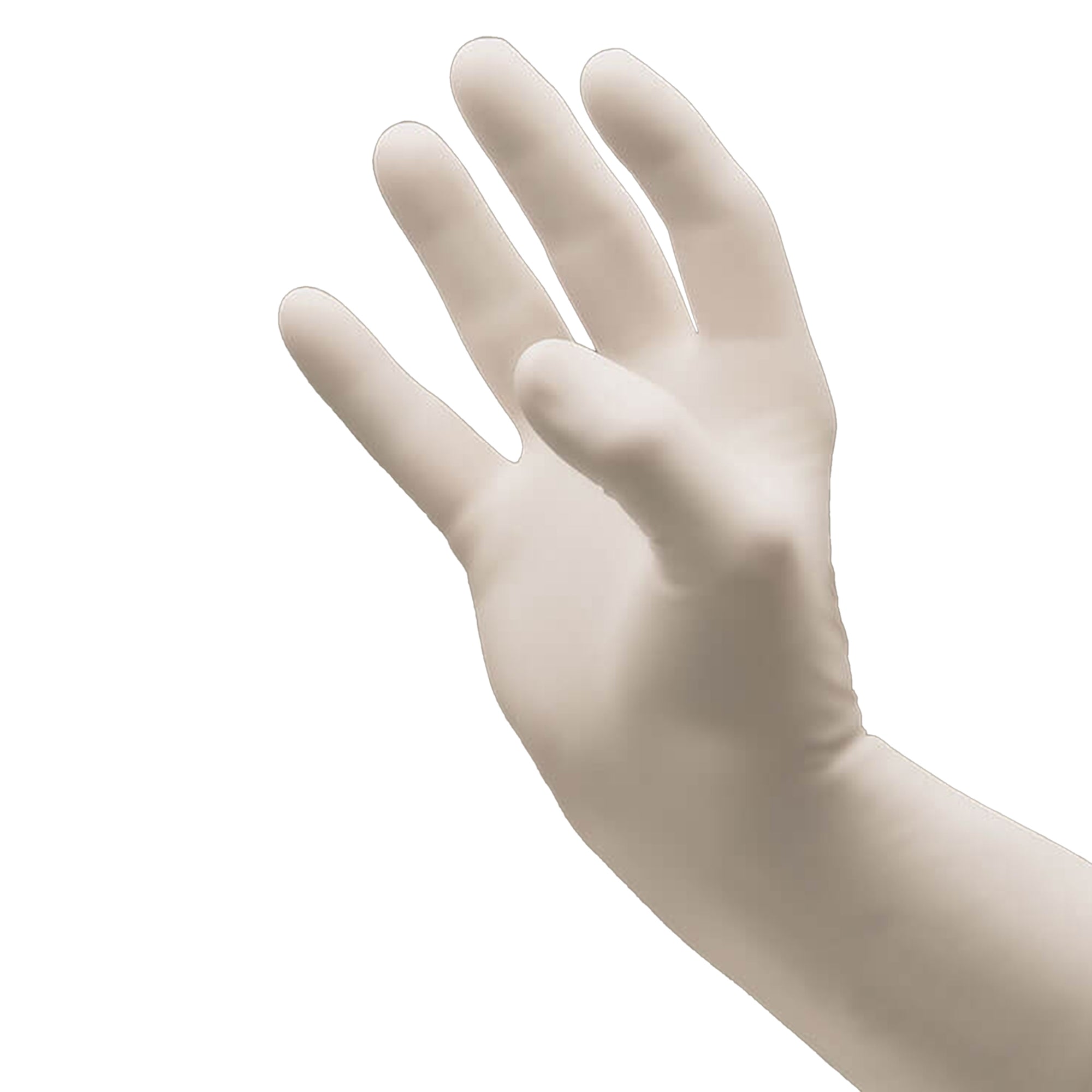 Exam Glove NitriDerm COATS Medium NonSterile Nitrile Standard Cuff Length Fully Textured White Chemo Tested | 200/Box