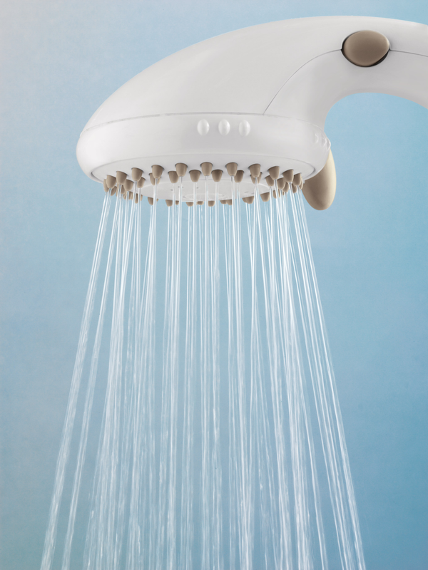 moen shower head hand held w pause control white