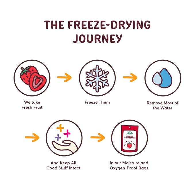 natierra fruit organic freeze dried blueberries 1 2 oz case of 12