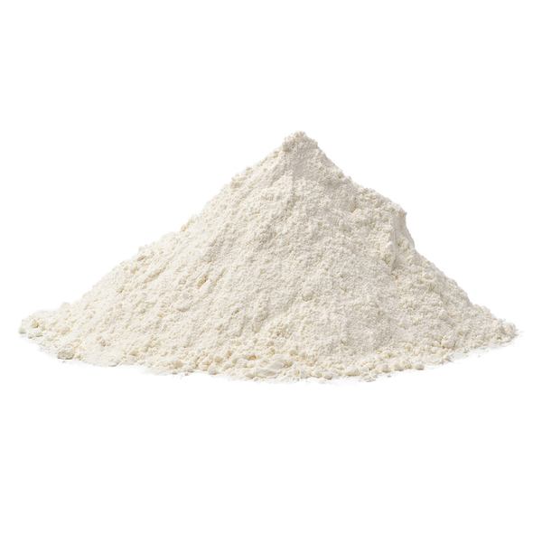 natren digesta lac 2 5 fl oz