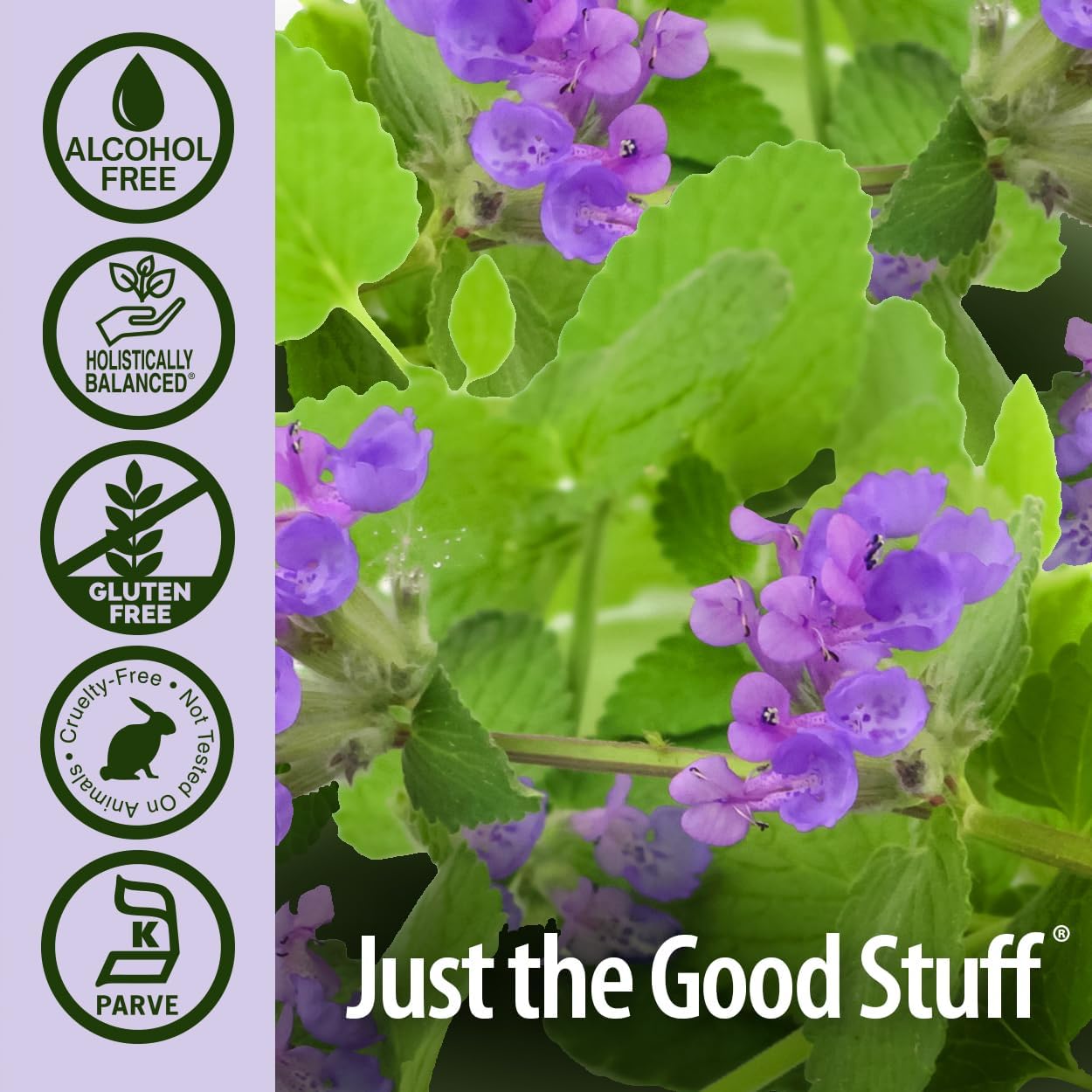 natures answer bubble b gone 1 fl oz