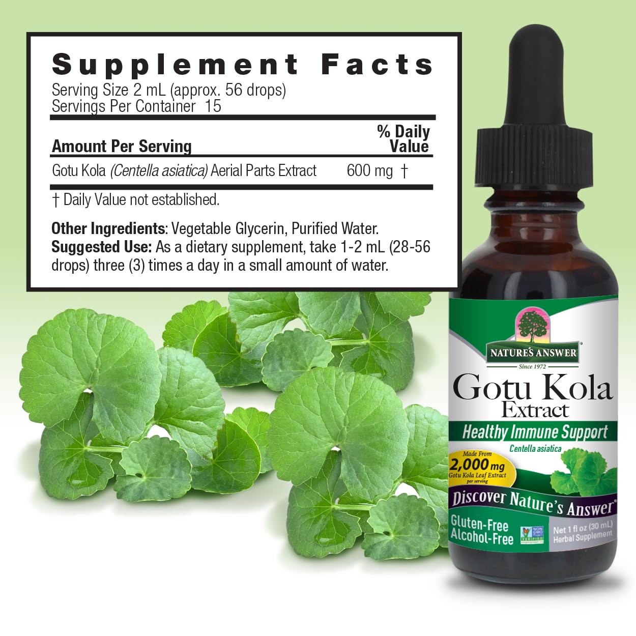 natures answer gotu kola herb alcohol free 1 fl oz