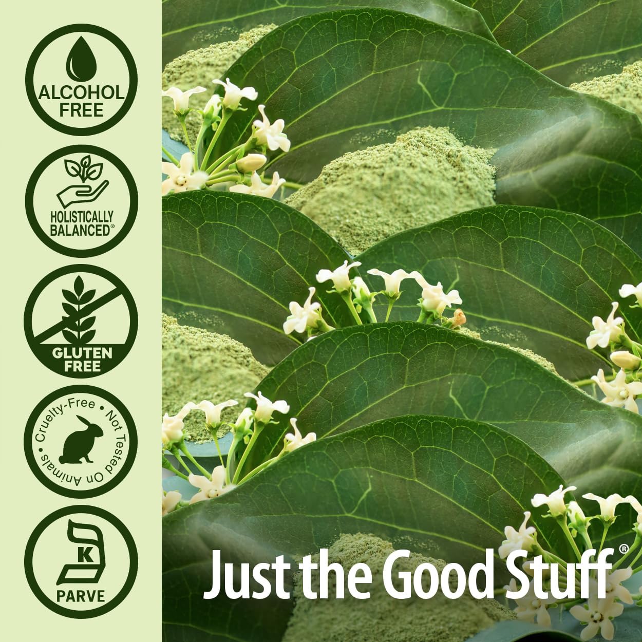 natures answer gymnema leaf alcohol free 1 fl oz