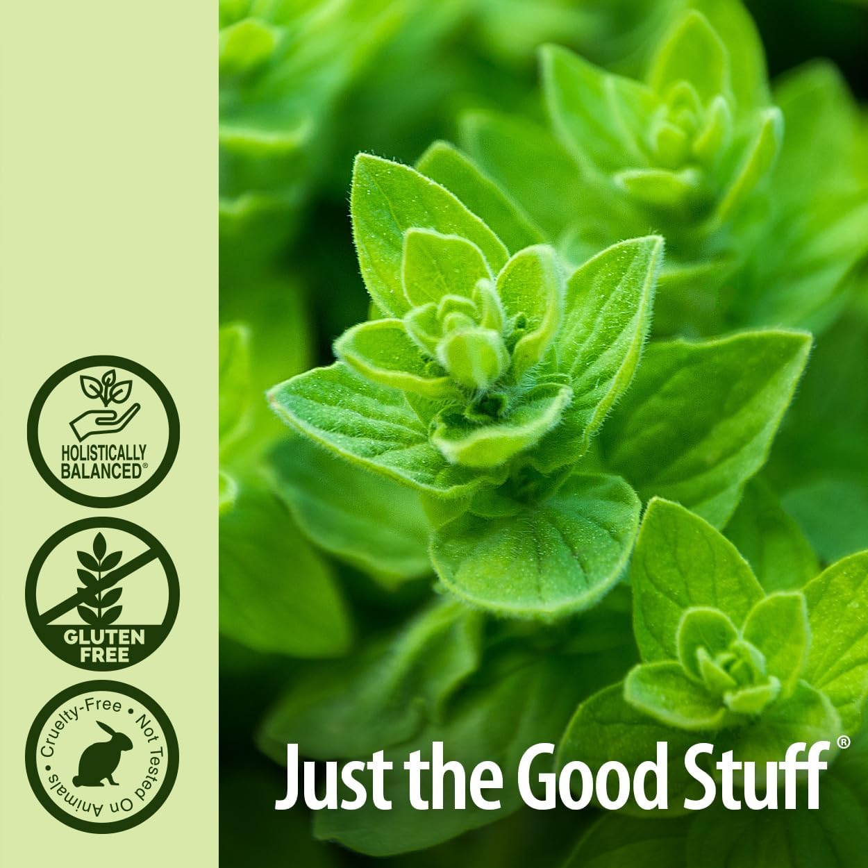 natures answer oil of oregano 90 softgels