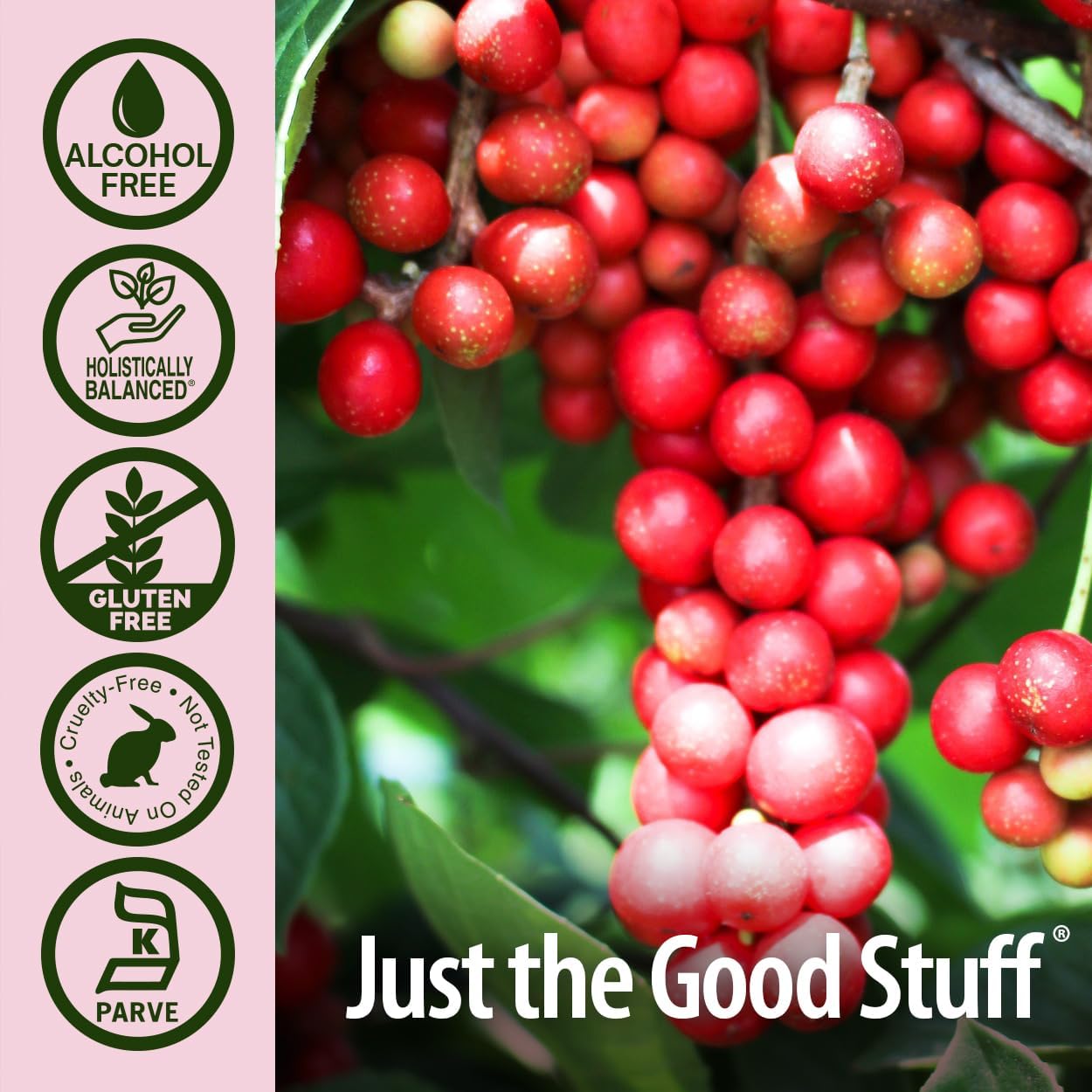 natures answer schisandra berry alcohol free 1 fl oz